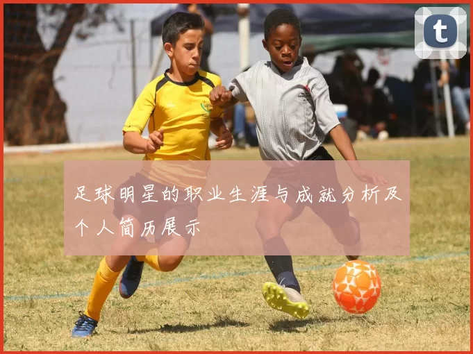 足球明星的职业生涯与成就分析及个人简历展示
