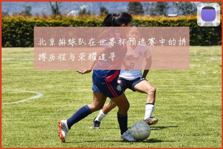 北京排球队在世界杯预选赛中的拼搏历程与荣耀追寻