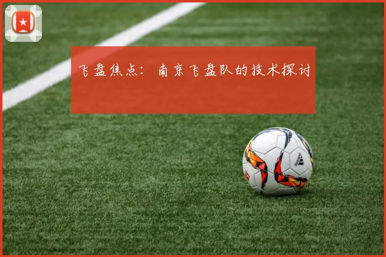 飞盘焦点：南京飞盘队的技术探讨