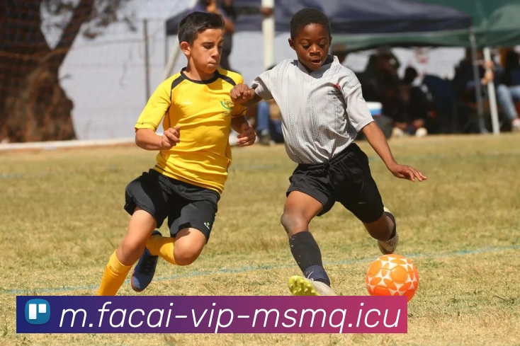 华体会体育注册APP 封面图